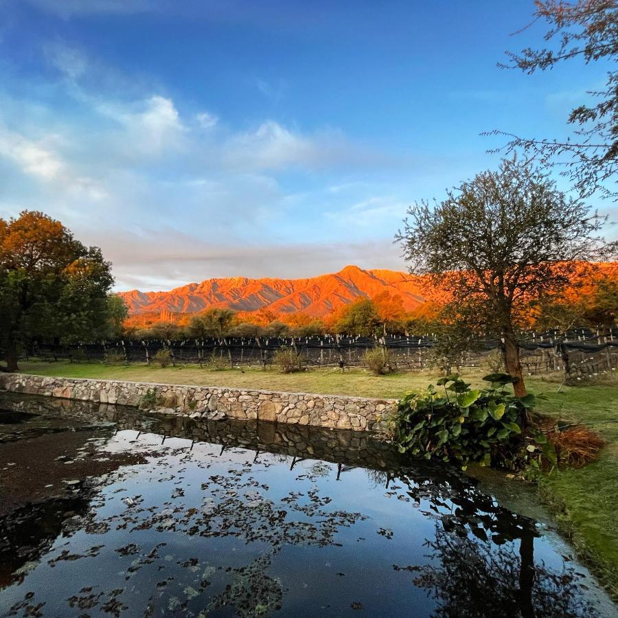 Araoz De Lamadrid Hotel&Bodega San Javier  Buitenkant foto